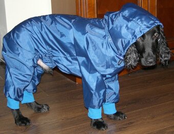 Overal / pršiplášť pre stredné plemená psov (osobný odber) - 3