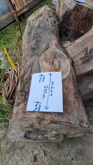 Predam orechove drevo - 3