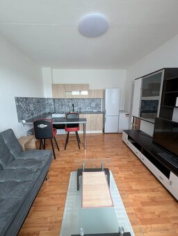 1,5 Izbový byt pri Spoločenskom Pavilóne - 3