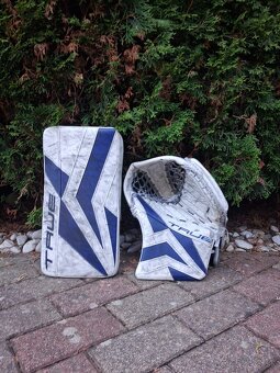 Predaj brankárskej výstroje TRUE CATALYST - 3