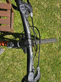 Leader Fox Arezo29 - 3