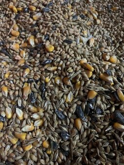 Zmeska pre nosnice - sliepky 🐓🐣 0.50€/kg - 3