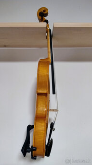 Viola 38,5 - Brasnyó Antal (Győr) - 3