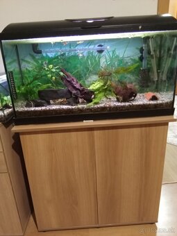 Predám akvárium - 3