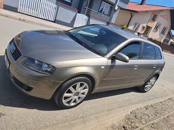 Audi A3 8P 1.9TDI 77KW BXE bez DPF - 3