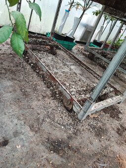 Klietka / voliera - 3