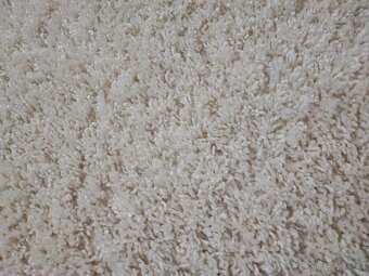 Koberec shaggy 120x170 - 3