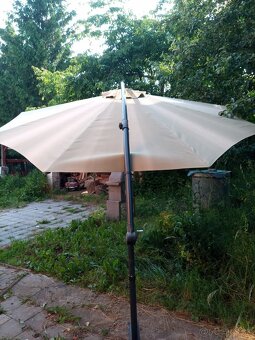 Slnečník - 3