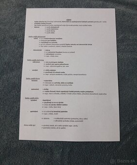 Kompletné poznámky na maturitu z občianskej náuky - 3