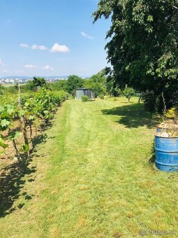 Slnečná záhrada na predaj - 3