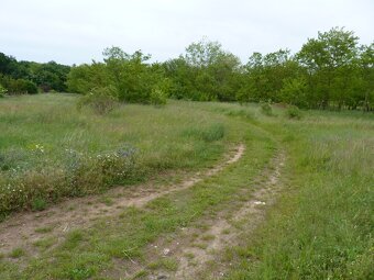 Predaj, pozemok, Marcelová - 3