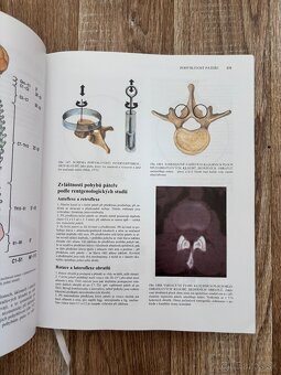 Anatomia Čihák 1,2 - 3