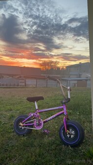 Mini BMX Wildcat - 3