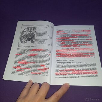 Neurológia - 3