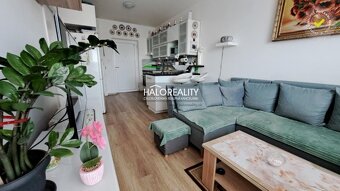 HALO reality - Predaj, jednoizbový byt Senec, záhrada 97m2, - 3