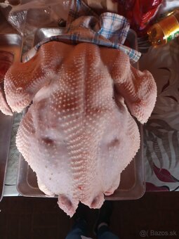 Predám očistené morky - 3