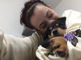 darujem steniatka - 3