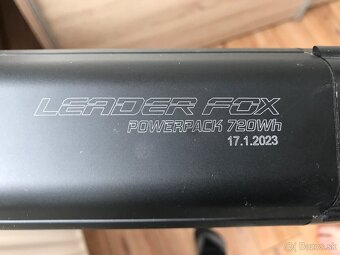 Leader fox - 3