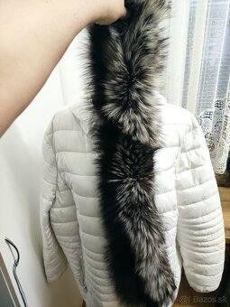 Pravá strieborná líška na kapucňu atď. - 3