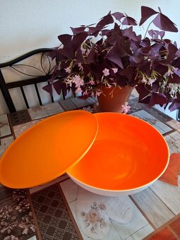 Allegra set 3 misiek - pomarančová od Tupperware - 3