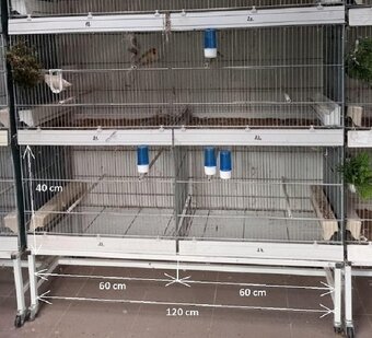 Talinske klietky 120 cm za 65 eur/ks - 3