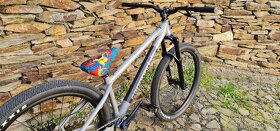 CANNONDALE Dave - 3