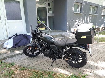 Predam HONDA CL 500 Scrambler - 3