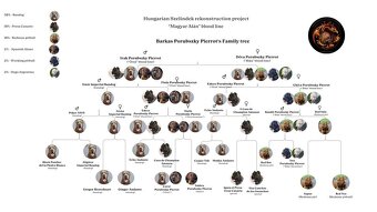 Cane Corso - 3
