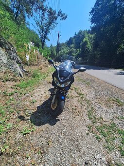 Predam Suzuki Bandit 1200 - 3