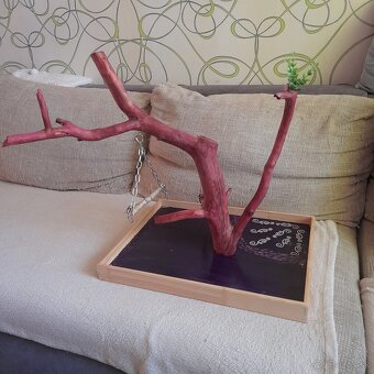 Papagáje, stromobidlá, strom pre papagáje - 3