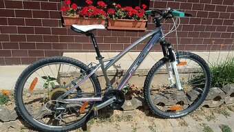 Damsky ( dievcensky bicykel) - 3