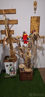 Predám klietky pre papagaja - 3