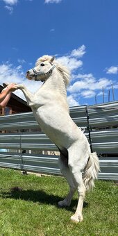 Pripúšťanie Pony - 3