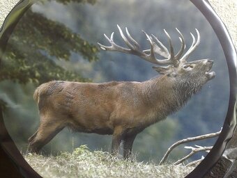 Ochranný obal na rezervné koleso - 3