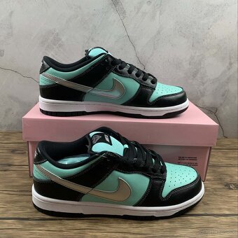 Nike Dunk 6 - 3
