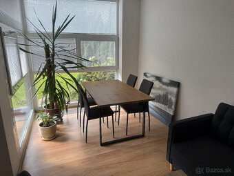 2izbový byt EURO HOME BÔRIK s vlastnou záhradou a parkovaním - 3