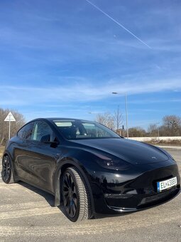 Predam Tesla model Y performance - 3