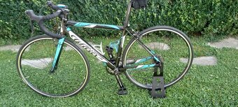 Wilier trestina model Luna - 3
