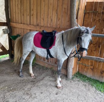 Ponik 130 cm - 3