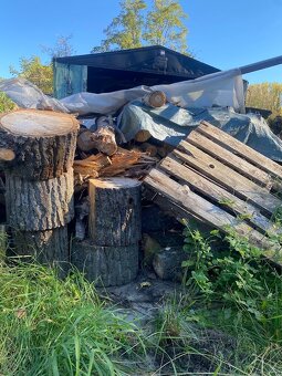 Predám  topoľové  suché drevo - 3