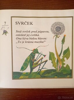 V tejto knižke rapoce straka (Krista Bendová) - 3