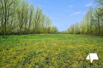 Predaj Potônske Lúky veľký stavebný pozemok na samote pri le - 3