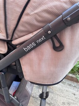 Roan bass next - 3