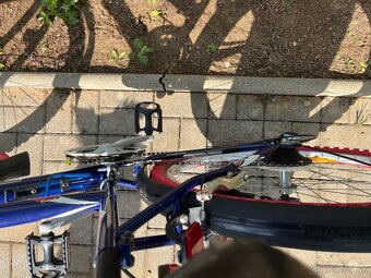 Damsky bicykel DEMA Iseo - 3