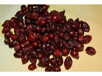 Sušené a čerstvé šípky, trnky a hloh. - 3