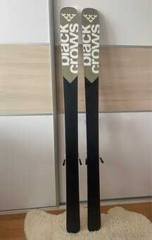 Black Crows Deamon Birdie 177.4 99 - 3