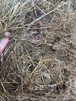 Senážne balíky - 3