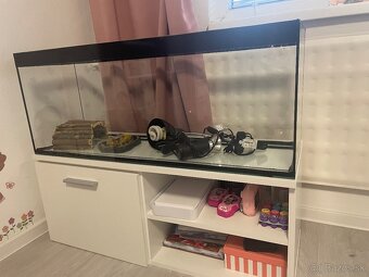 Terárium so skrinkou - 3