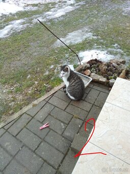 Ajándékozuk - Darujeme - 3