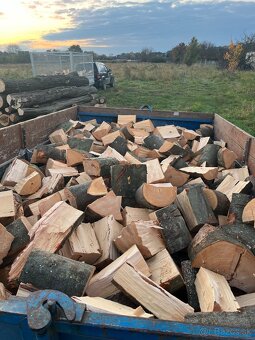 Palivové drevo - 3